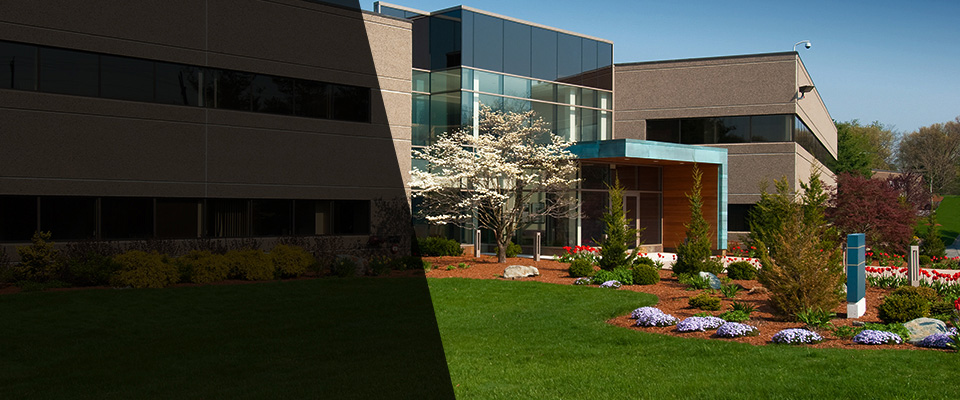 Ellaville Landscapers