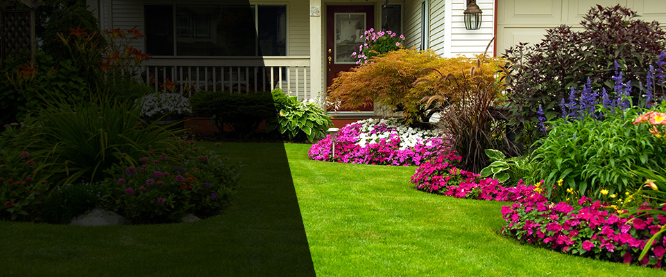 Ellaville Landscapers