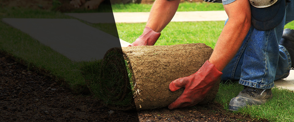 Ellaville Landscapers